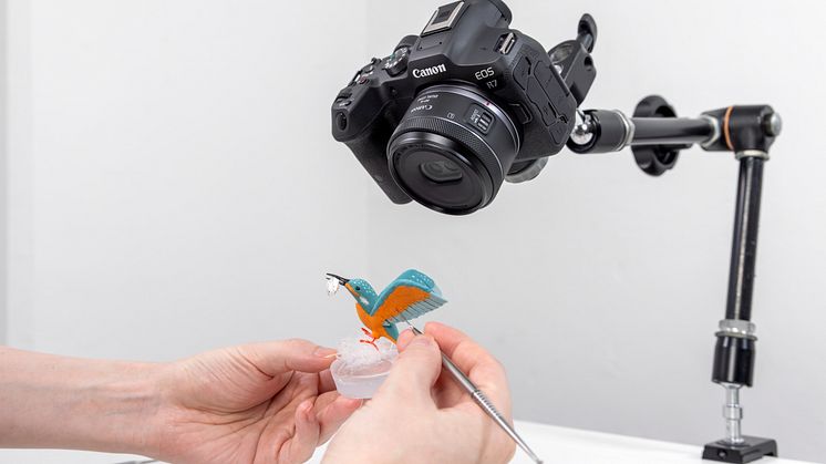 Canon RF-S 7.8mm F4 STM DUAL_Lifestyle image_240619_181.jpg