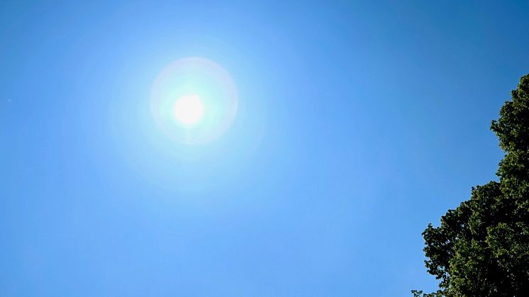 Så här förbereder sig Kungsbacka kommun för en eventuell värmebölja