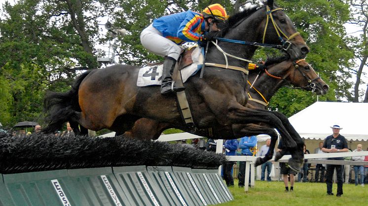 Litet men naggande gott fält i Svenskt Grand National