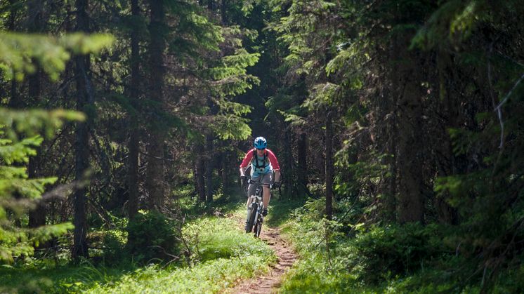 Bike in for Trysil Bike Arena