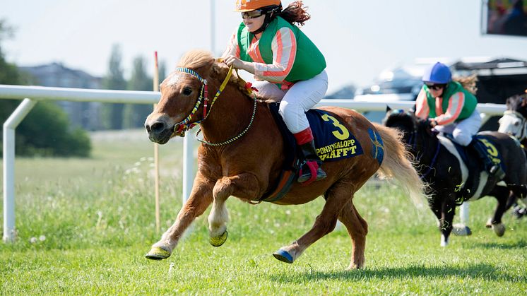 Nationaldagsgaloppen 2019