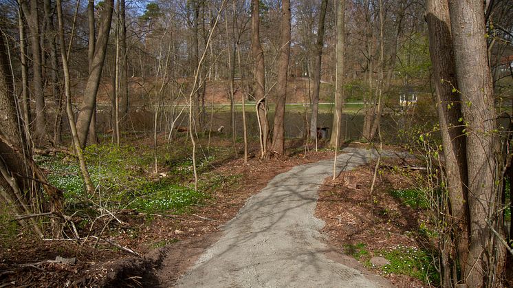 vaxthustomten_200415_03.jpg