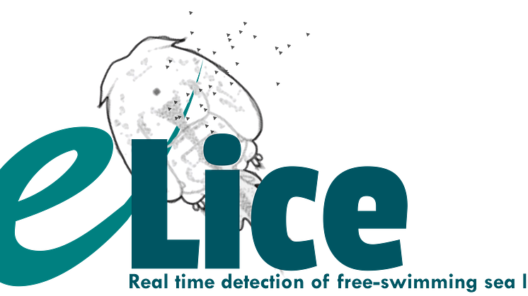 e-Lice logo