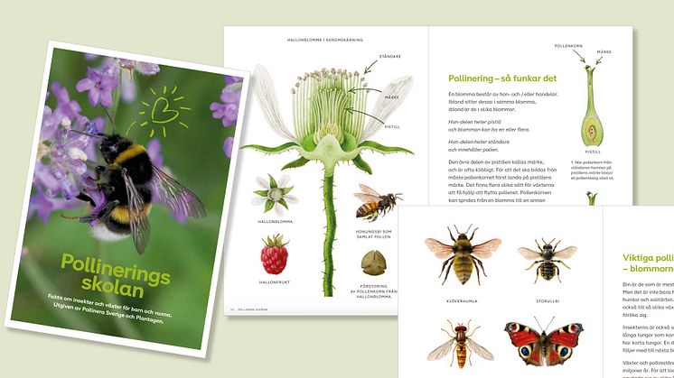 Pollineringsskolan