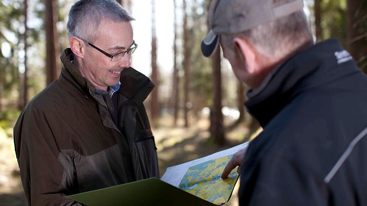 Rådgivare skog.jpg