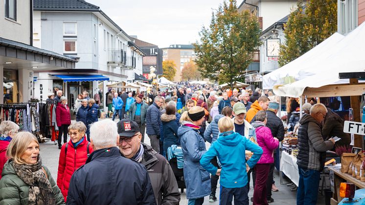 Matmarked og lavvo Matlyst  FOTO Ringsaker kommune_35.JPG