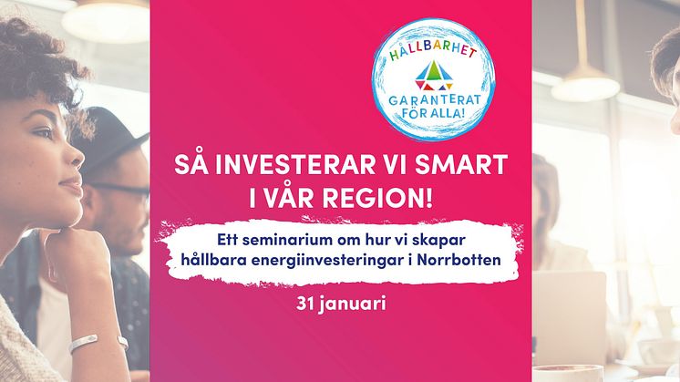 Seminarium om hur vi skapar hållbara energiinvesteringar i Norrbotten, 31 januari