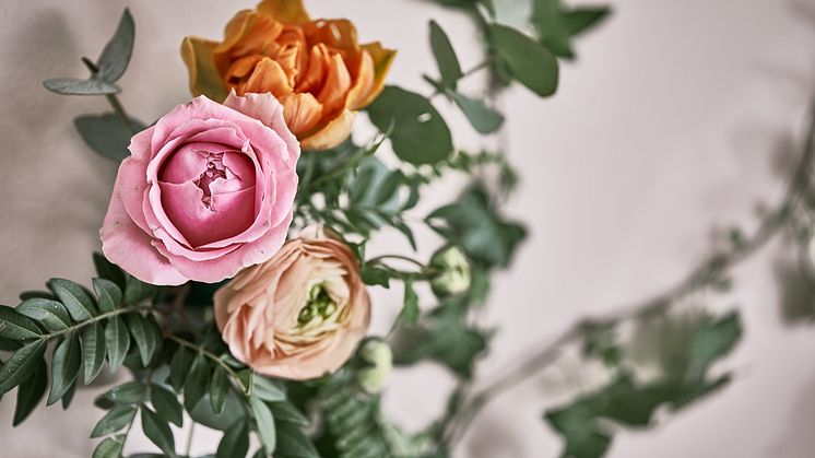 Romantisk lantidyll- snittblommor