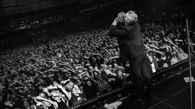 Janove på hjemmebane i DNB Arena i Stavanger i høst. Foto: Grethe Nygaard.
