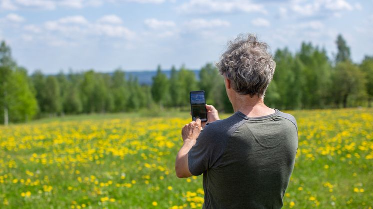 Fotografera med mobil i fält