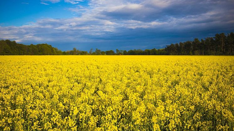 Region Skåne ska satsa på forskarutrymmen för fler medarbetare