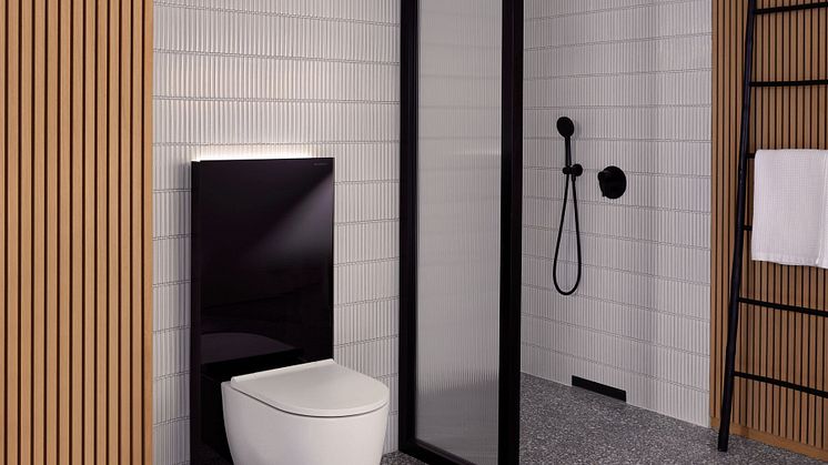 2023_Monolith Plus with ComfortLight, wall-hung WC ONE white matt and shower_Big Size (1).jpg