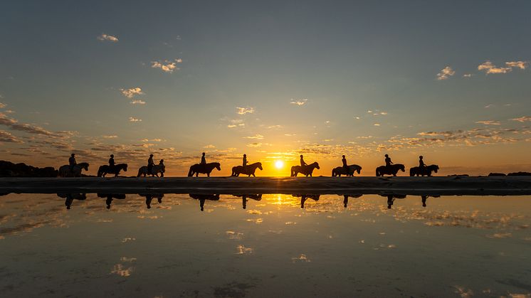 Horseback riding under the Midnight Sun at Hov in Lofoten. Photo: Hallvard Kolltveit - Destination Lofoten