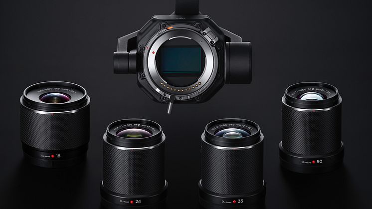 DL mount vertical version