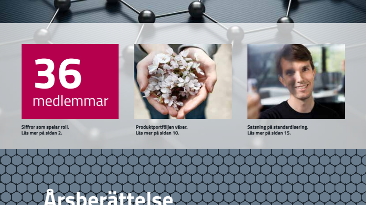 Grafen_arsberattelse_2020_webb.pdf