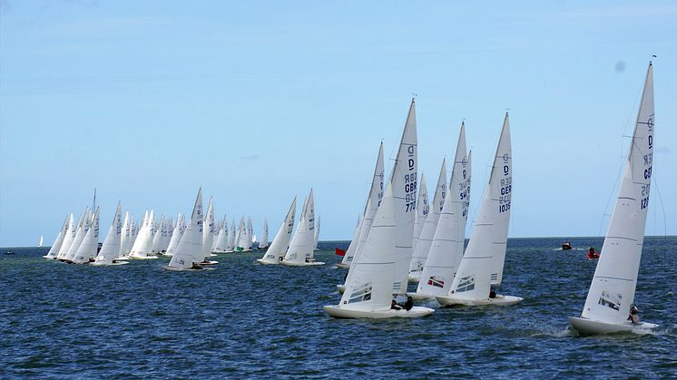 Dragon class yachts in the 2019 Gold Cup