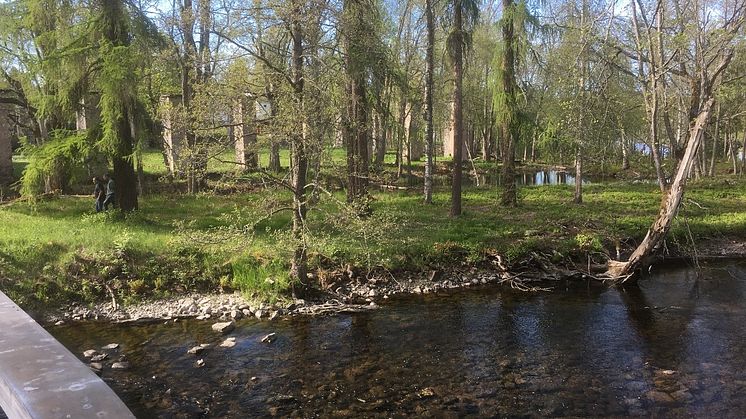 Grängshammars Engelska park. Foto Helena Kåks