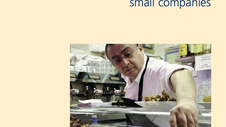 Social dialogue in micro and small companies in Europe