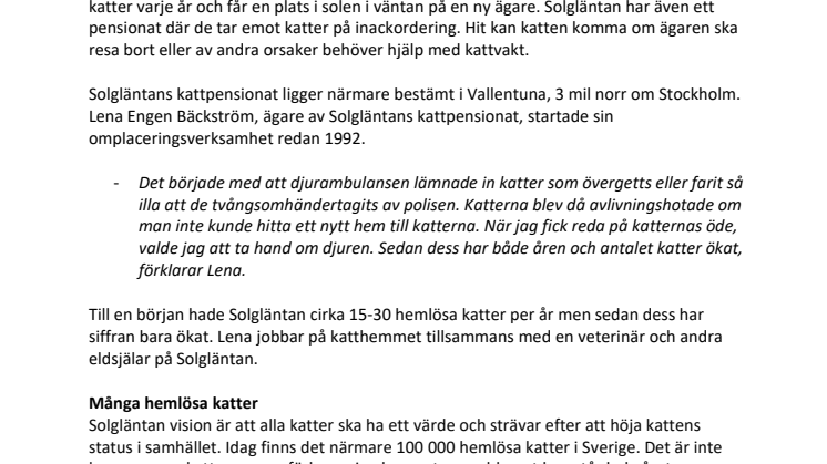 Samarbete för att hjälpa hemlösa katter 