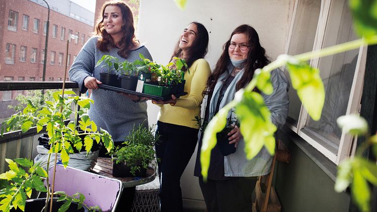 Odlingar bidrar med gemenskap mellan hyresgäster och nya miljöer för vilda pollinatörer.