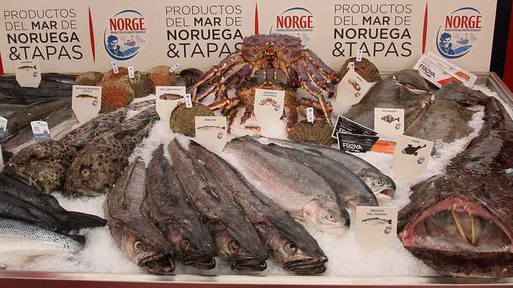 Norge Pinchos Valladolid