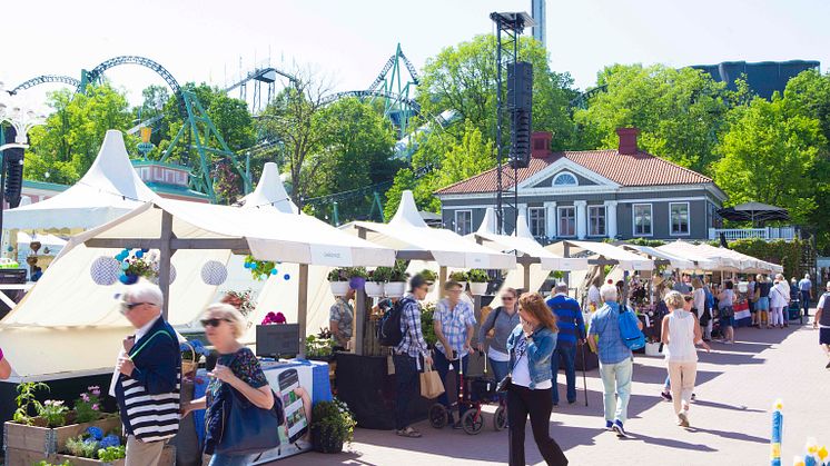 Ett 80-tal utställare att botanisera bland kommer att finnas på marknaden