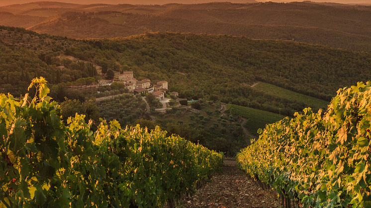 Monteraponi
