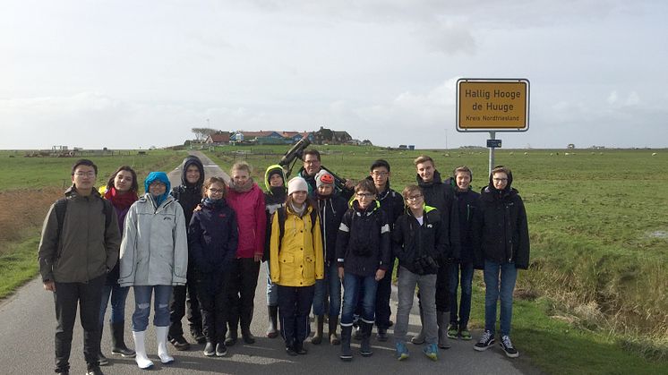 Die Schülerinnen und Schüler der plus-MINT Klasse aus Louisenlund auf Hallig Hooge.