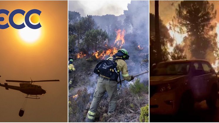 Devastation:  Wildfire in Estepona destroys over 10,000 hectares of forest land and property