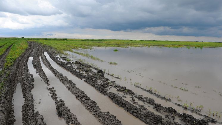Danish Agro og Topdanmark i nyt samarbejde: Vil sikre landmænd mod økonomisk tab efter tørke eller skybrud