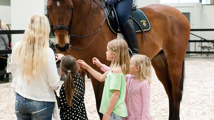 EuroHorse 2013