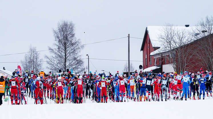 I 2018 stod det drøyt 500 menn og kvinner på startstreken under Trysil Skimaraton. Foto: Jonas Sjögren
