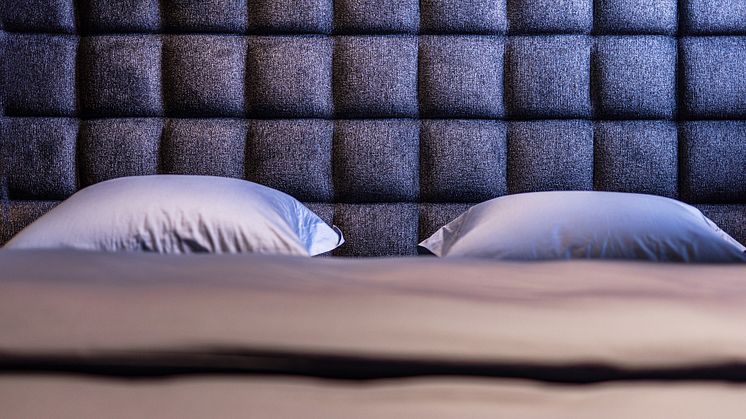 bed.se - 2024 - Shazam - NOV-19.jpg