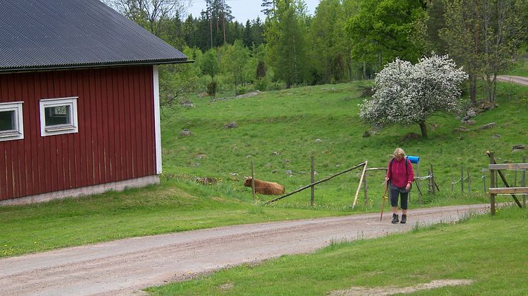 Pilgrimsleder genom Småland