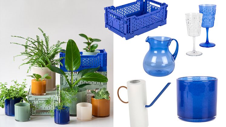 Kornblått