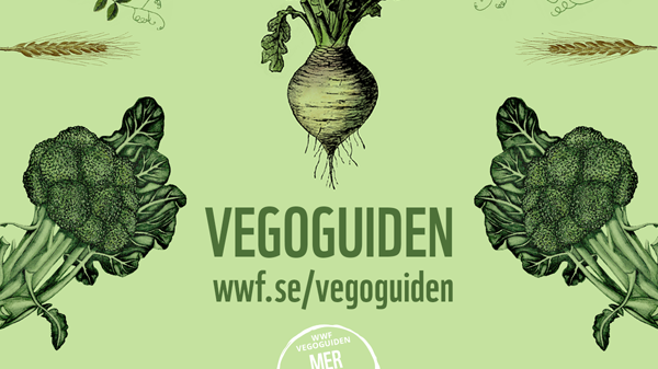 KRAV och eko bäst enligt Vegoguiden
