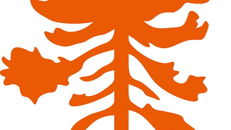 Pinewood Tree
