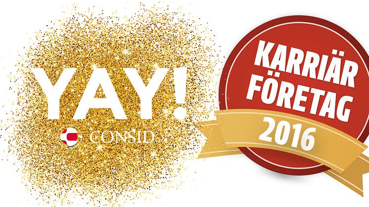 IT-företag prisas som Karriärföretag!