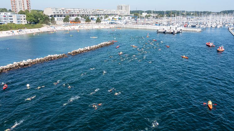 Lighthouseswim 2023.jpg