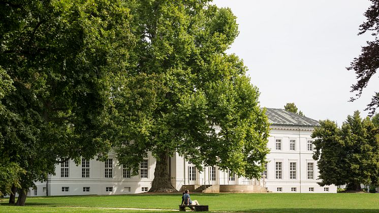 Zeit zum Hören, Denken, Reden, Genießen und vielem mehr bietet das neue Programm von Schloss Neuhardenberg im Seenland Oder-Spree. Foto: TMB-Fotoarchiv/Yorck Maecke.