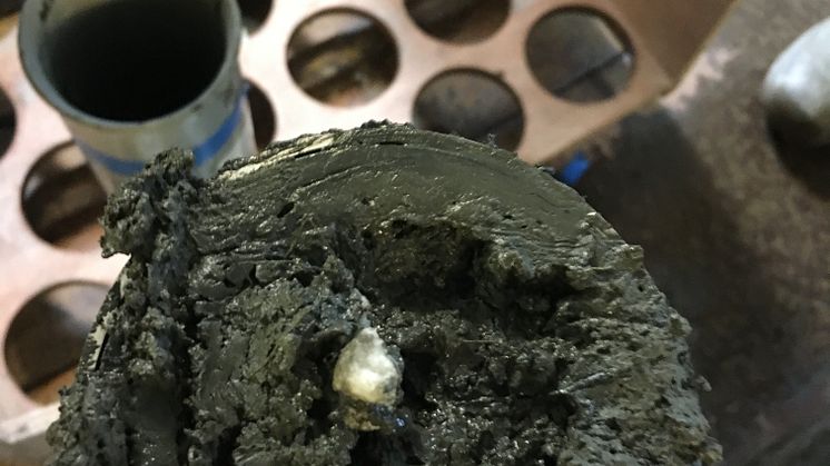 HongSediment.JPG