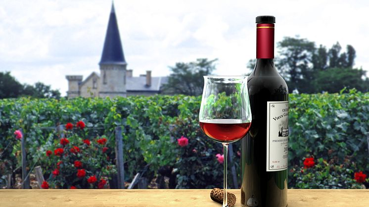 Discover Bordeaux and its Classic Wine Region