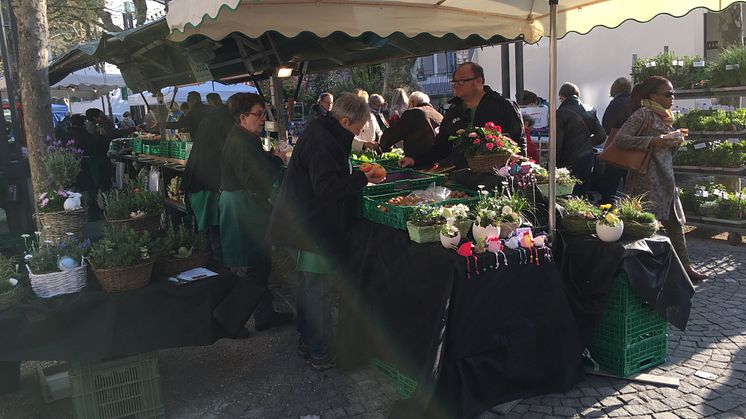 Hur kommer marknaden och lönsamheten förändras?