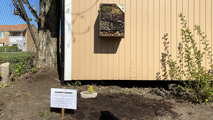 Barnens invigda insektshotell och insektsbad på Ängelholmshems bostadsområde Kulltorp.