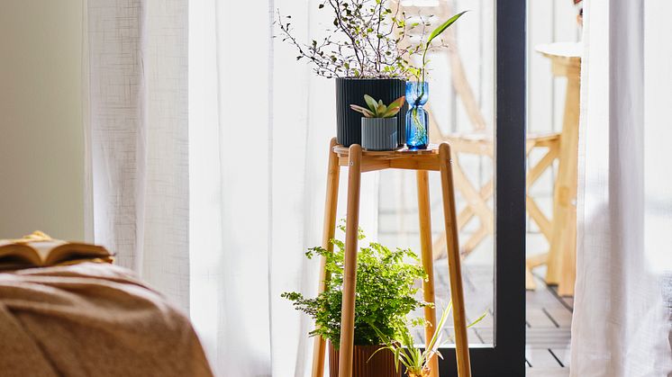 DAKSJUS plantestander 229 DKK