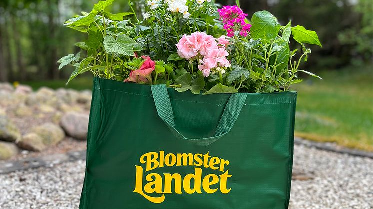 Blomsterlandet Blomveckorna Från Sverige 2024 tävling.jpg
