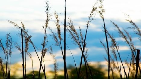  Finalister klara till Skånes vindkraftspris och Skåne Solar Award 2016