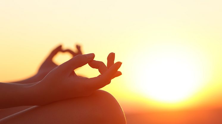 Holistic medverkar på Yogagames i Stockholm 11-12 februari 2017 och föreläser om utmattning