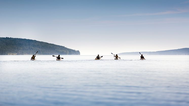 Sommarhälsningar från Höga Kusten