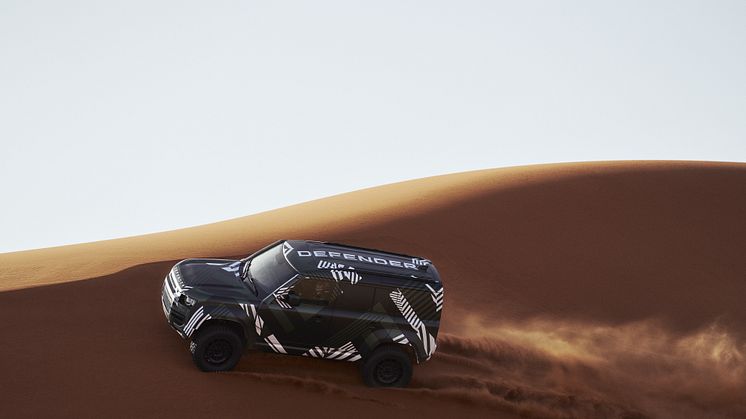DEFENDER_RALLY_DYNAMIC_02.jpg